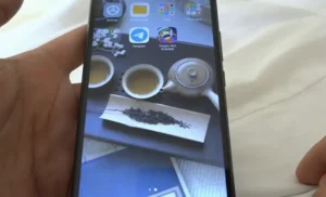 Oxygen Not Included (ONI) APK para Android 3